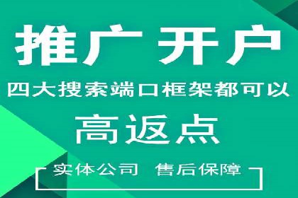 某公司如何利用SEO和SEM提升线上业务——真实案例分析
